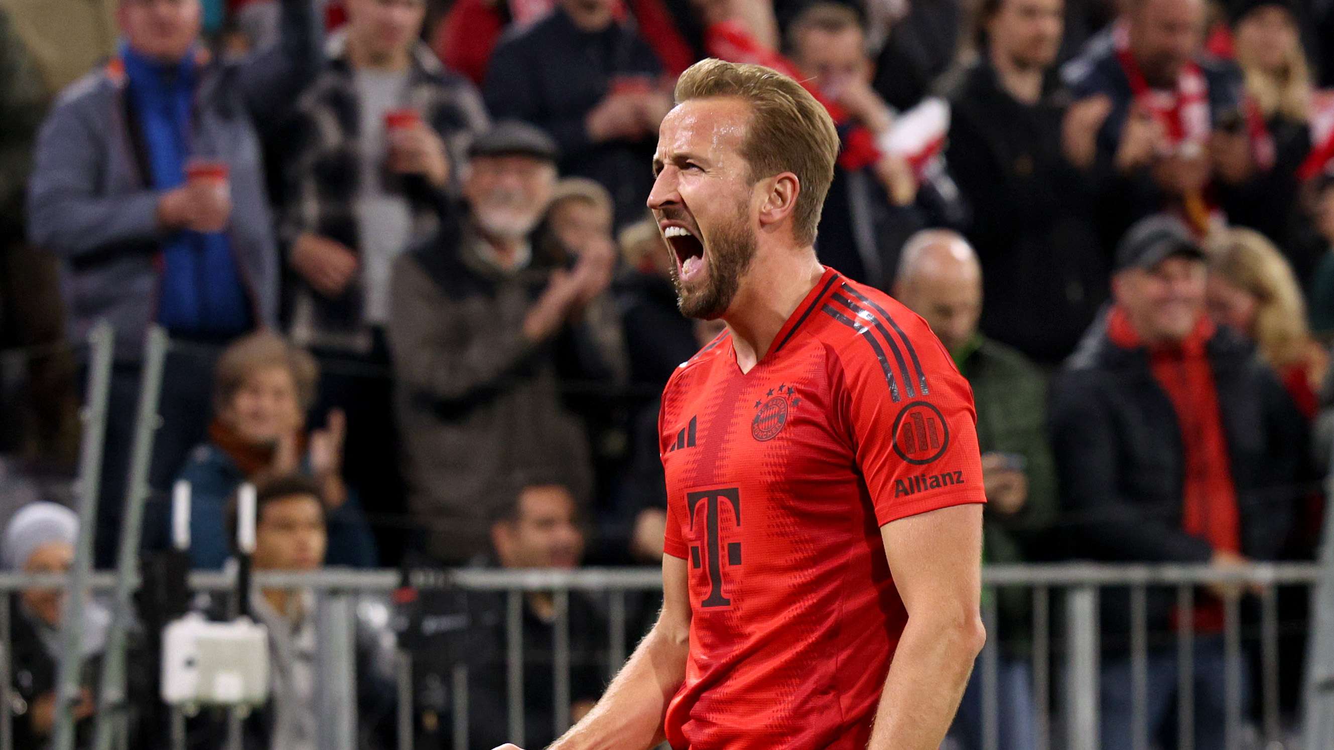 当地优越的 当地优越的